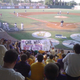Illustration for article titled Bad Apple LSU Fans Keep Making Matters Worse